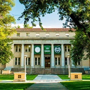Colorado State University