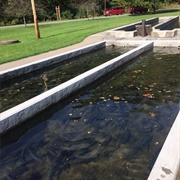 Powder Mills Park, Pittsford NY