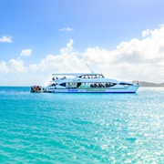 Cruise Around the Whitsundays