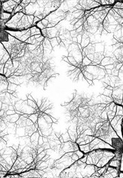 The Kaleidoscope (-)