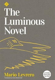 The Luminous Novel (Mario Levrero)
