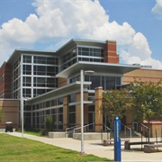 Louisiana State University of Alexandria