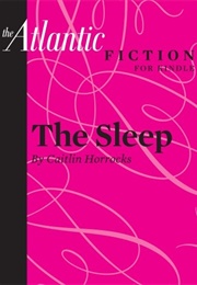 The Sleep (Caitlin Horrocks)