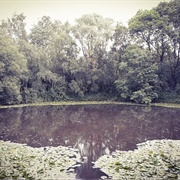 Spanbroekmolen Crater, Messines Ridge, Belgium