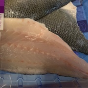 Seabass