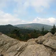 Mt Rogers Nat'l Rec Area, Virginia
