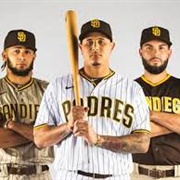 Attend a SD Padres Game - San Diego