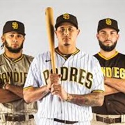Attend a SD Padres Game - San Diego