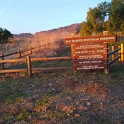 San Marcos Foothills Preserve