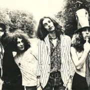 The Pink Fairies (12,032)