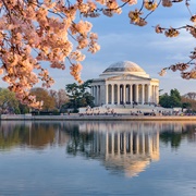 Jefferson Memorial & Tidal Basin, Washington, DC