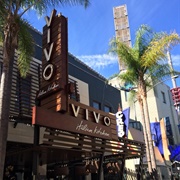 Vivo Italian Kitchen