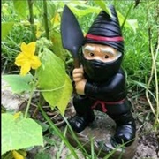 No! Ninja Gnome! No!