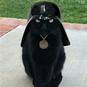 Understand My Bipolarness