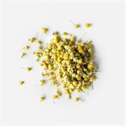 Rishi Tea Golden Chamomile Blossoms