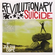 They Were on Hard Drugs - Julian Cope