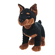 Mini Pinscher Dog