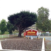 Egg Vending Machine at Glaum Ranch