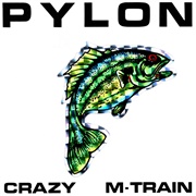 Crazy - Pylon