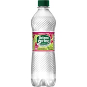 Poland Spring Sparkling Raspberry Lime
