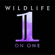 Wildlife on One
