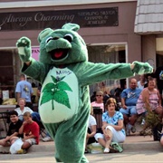 St. Johns Mint Festival