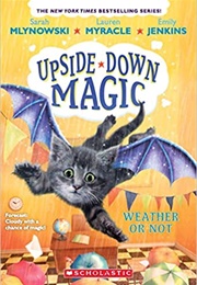 Weather or Not (Sarah Mlynowski)