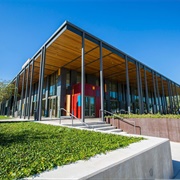 University of Texas Rio Grande Valley