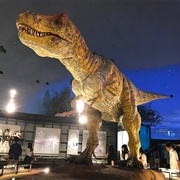 Fukui Prefectural Dinosaur Museum Katsuyama