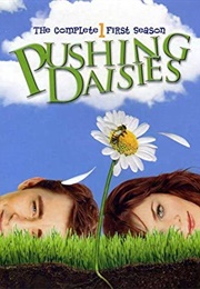 Pushing Daisies Season 1 (2007)