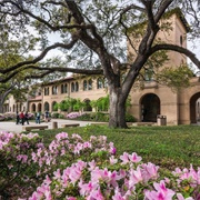Louisiana State University – Baton Rouge