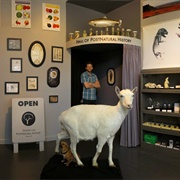 Center for Post-Natural History