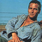 Luke Jackson (Cool Hand Luke, 1967)
