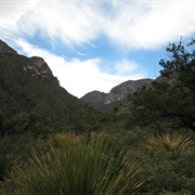 Guadalupe Mountains National Park