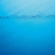 Suddenly (Caribou, 2020)