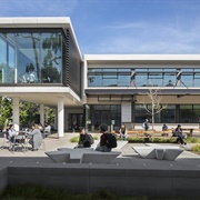 California State University, Long Beach