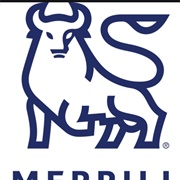 Merrill Lynch Bull