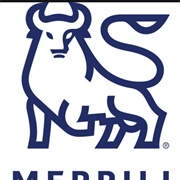 Merrill Lynch Bull