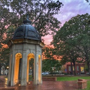 East Carolina University