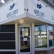 Nine Lives Cat Cafe