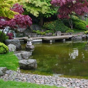 Kyoto Garden, London