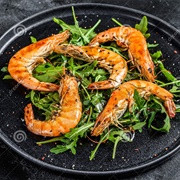 Grilled Langoustines With Arugula Salad