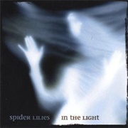 Spider Lilies – in the Light