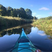 Canoe or Kayak the Entire Fyris River
