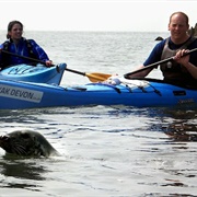 Sea Kayak Devon