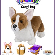 Corgi Dog