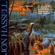 Jon Hassell the Surgeon of the Nightsky