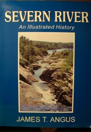 Severn River (James Angus)