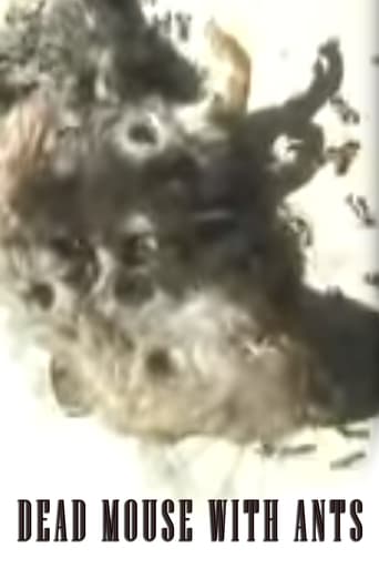 Dead Mouse With Ants (2002)