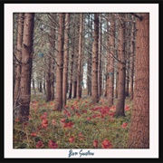 Barn Swallow - Beggars and Liars